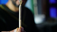konopí cannabis-smoking-5890427 1280